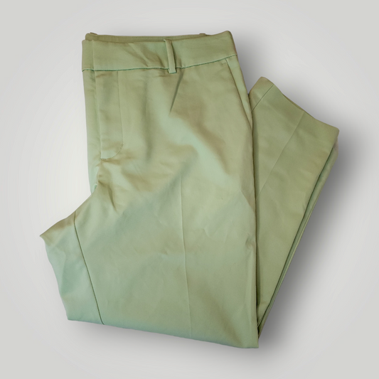 A New Day Mint Ankle Pants, Size 16R